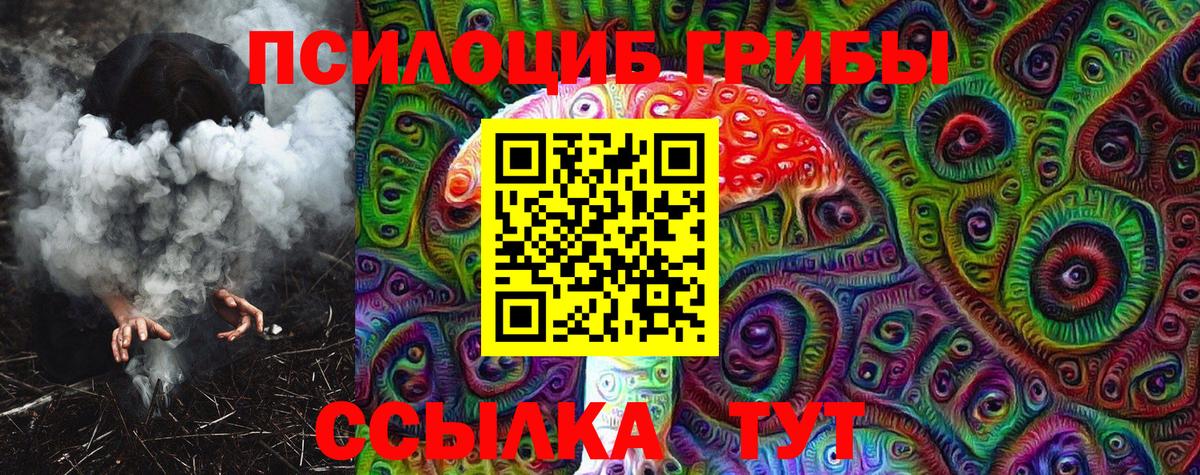 Псилоцибиновые грибы ЛСД Майкоп