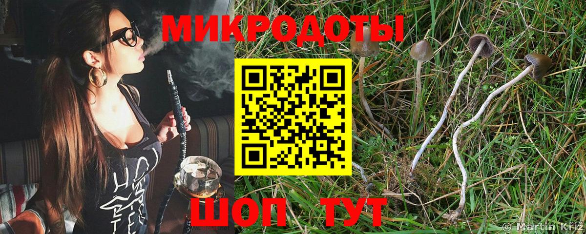 Псилоцибиновые грибы Psilocybine cubensis  Вход с VPN  Майкоп 