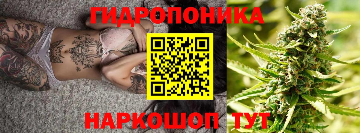 Каннабис план  Бошки марихуана AK-47  Вход с VPN  Майкоп  Марихуана OG Kush 